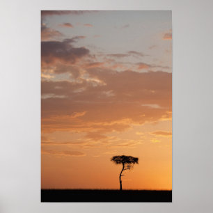 Silhouette eines Baumes in der Ebene, Masai Mara Poster