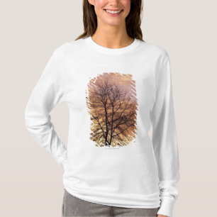 Silhouette eines Baums mit rosa und orange Himmel T-Shirt
