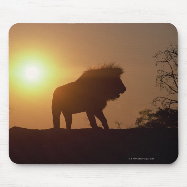 Silhouette eines Löwen Mousepad (Vorne)