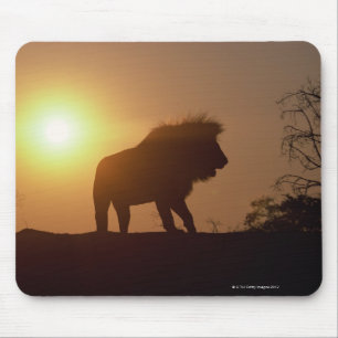 Silhouette eines Löwes Mousepad