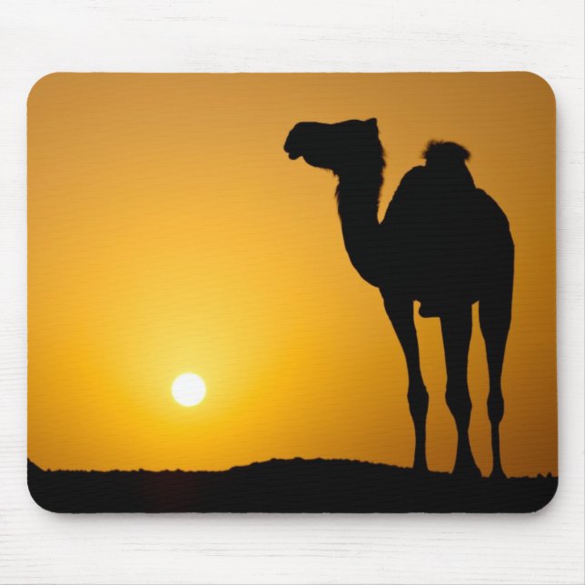 Silhouette eines wilden Kamels am Sonnenuntergang Mousepad (Vorne)