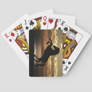 Silhouette gegen den Sonnenuntergang Spielkarten