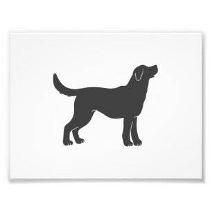 Silhouette Hund stehend - Farbe auswählen Fotodruck