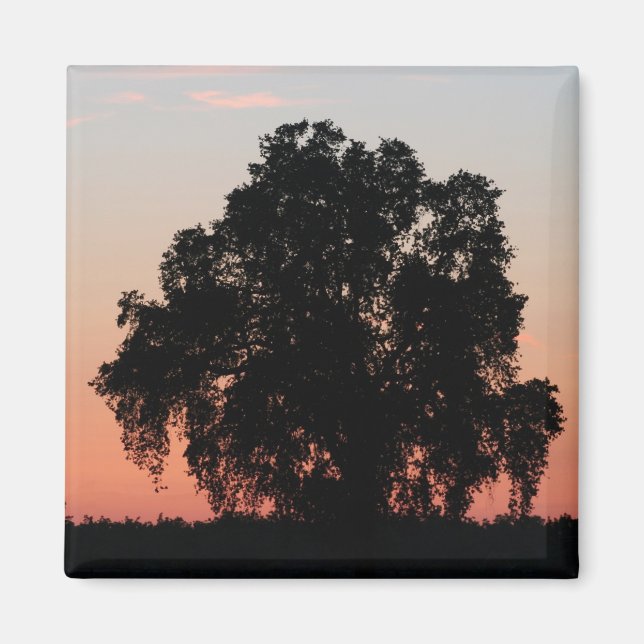 Silhouette Oak Tree Magnet (Vorne)