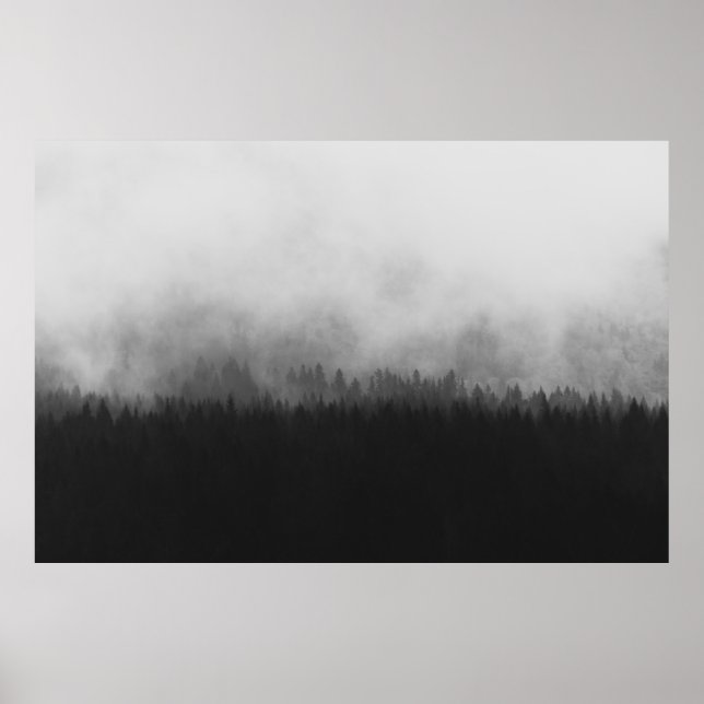 SILHOUETTE OF TREES WITH FOGS POSTER (Vorne)