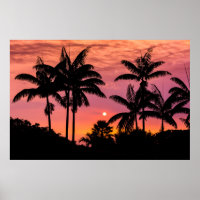 Silhouette Palmen, Hawaii