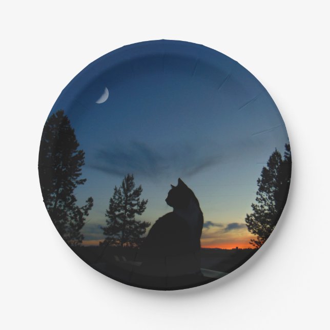 Silhouette Pappteller (Vorderseite)