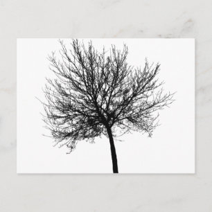 Silhouette Postkarte