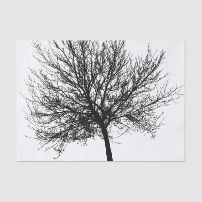 Silhouette Seidenpapier (Vorderseite)