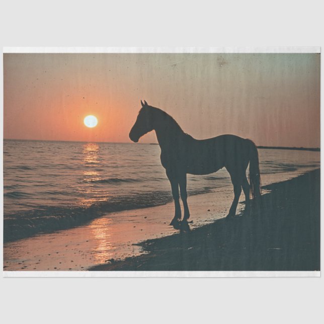 Silhouette Sonnenuntergang am Meer Seidenpapier (Vorderseite)