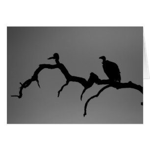 Silhouette vautour