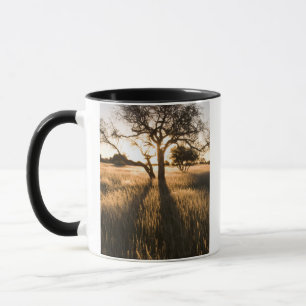 Silhouette von Akazienbäumen im Gras. Mariental Tasse