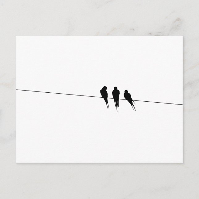 Silhouette von Blackbirds auf Wire Postkarte (Vorderseite)
