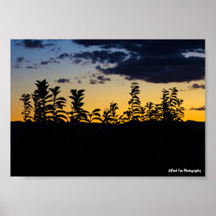 Silhouette von Blättern bei Nacht Poster