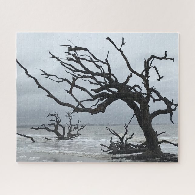 Silhouette von Totenbaum auf der Insel Jekyll (Horizontal)