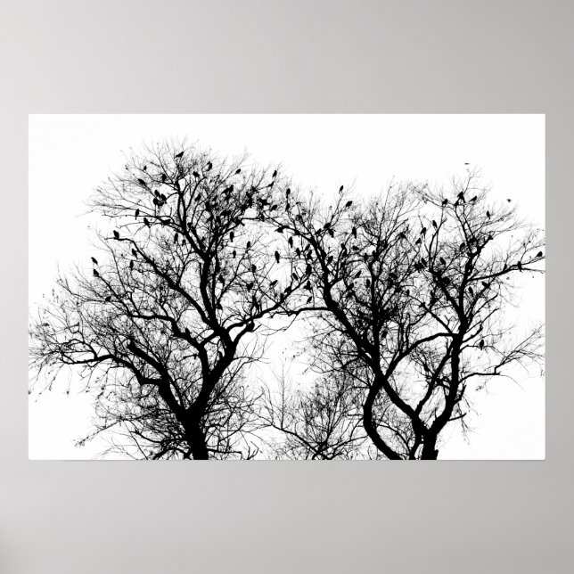 Silhouette von Vögeln und Bäumen. Poster (Vorne)