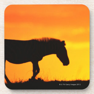 Silhouette von Zebra auf Savanne Getränkeuntersetzer