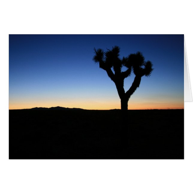 Silhouetted Joshua Tree (Vorderseite (Horizontal))