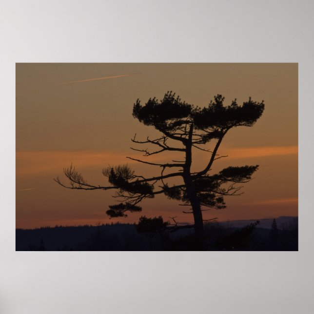Silhouetten in der Abenddämmerung Poster (Vorne)