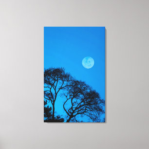 Silhouetten und Vollmond Leinwanddruck