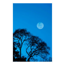 Silhouetten und Vollmond