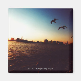 Silhouettierte Tokyo-Bucht-Skyline am Magnet