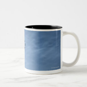 Silhouettierter Rotwild-Hirsch nachts Zweifarbige Tasse