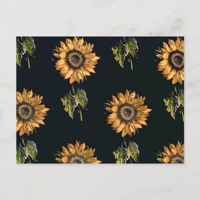 Silk Dekoration Velourau SABRE der Sonnenblumen Postkarte (Vorderseite)