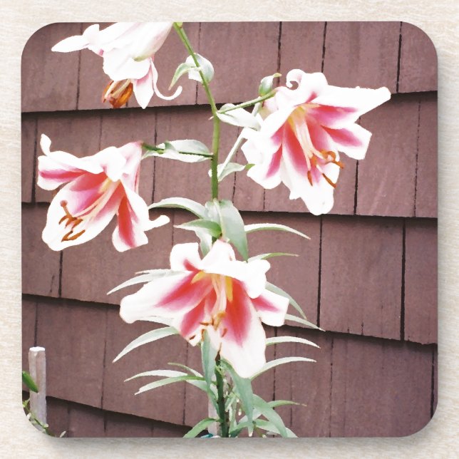 Silk Road Lily Getränkeuntersetzer (Vorderseite)