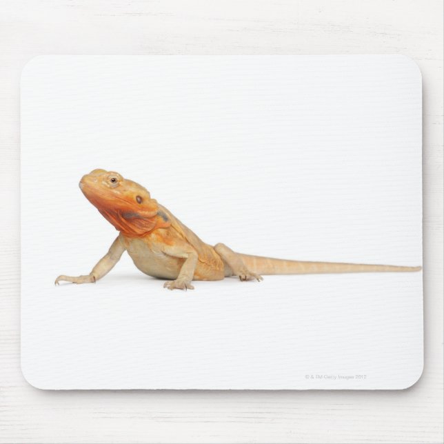 SilkBacks skalenloser Bartdrache - Pogona Mousepad (Vorne)