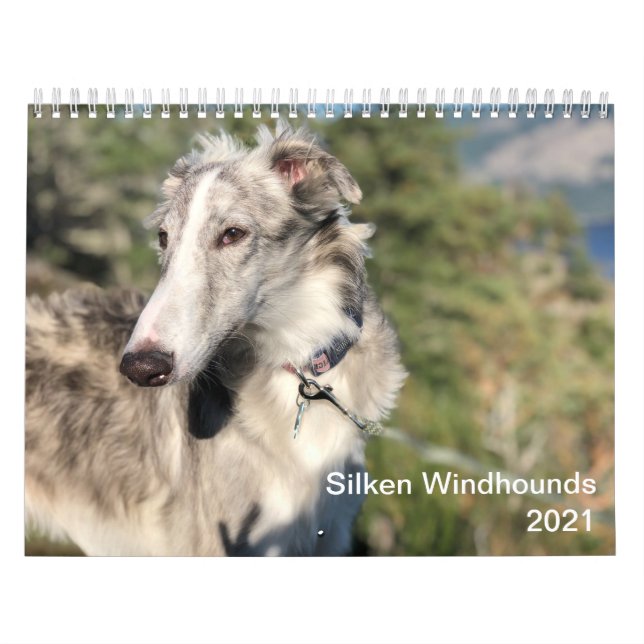 Silken Windhounds 2021 - Head Shots Kalender (Titelbild)