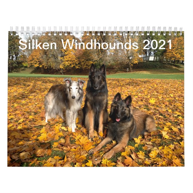 Silken Windhounds 2021 - mit Friends Kalender (Titelbild)