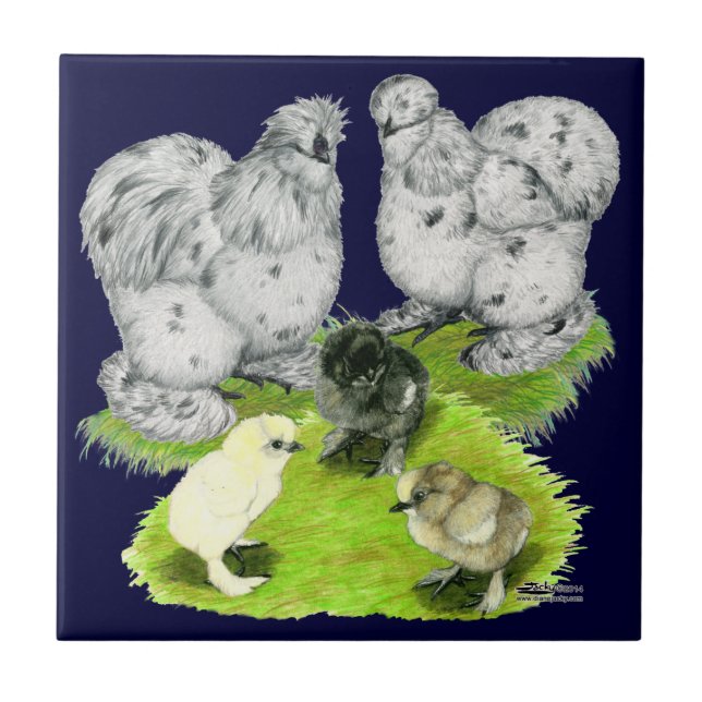 Silkie Bantam Splash Familie Fliese (Vorderseite)