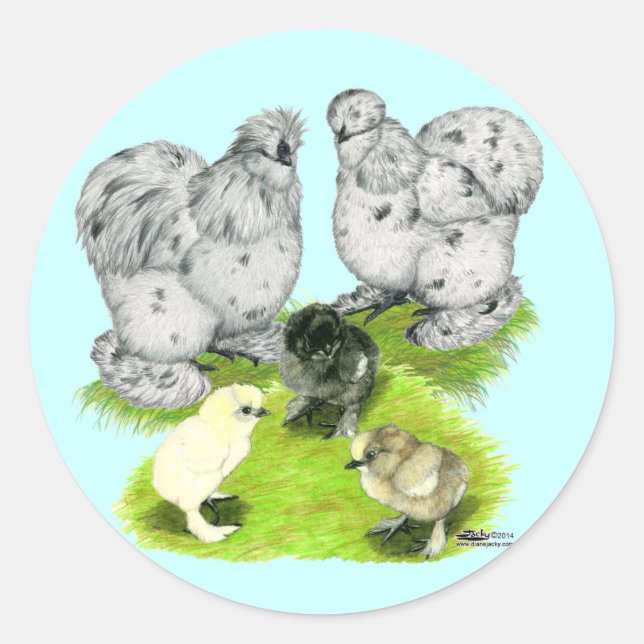 Silkie Bantam Splash Familie Runder Aufkleber (Vorderseite)