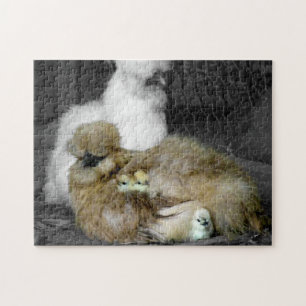 Silkie Hennen mit den Küken, die aus Federn herau