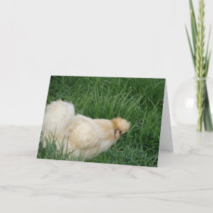 Silkie Rooster Karte