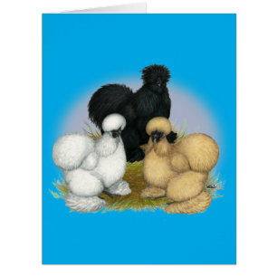 Silkie Trio