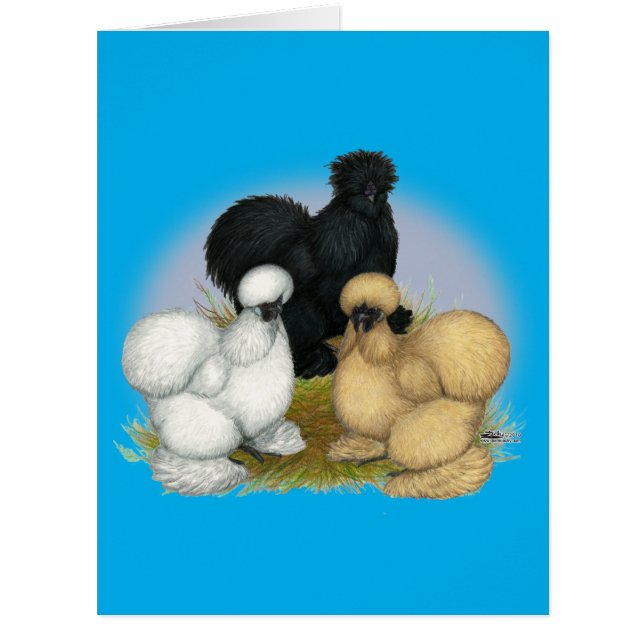 Silkie Trio (Vorderseite)