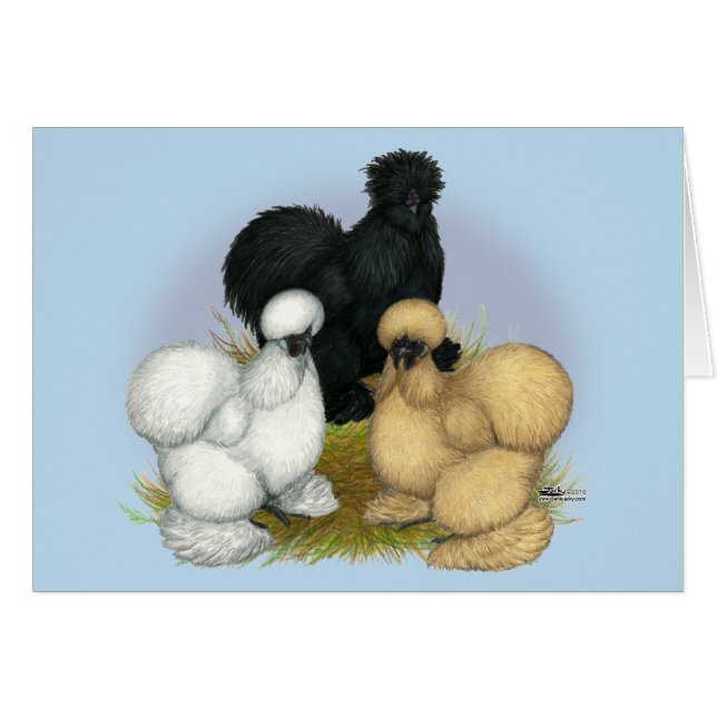 Silkie Trio (Vorderseite (Horizontal))