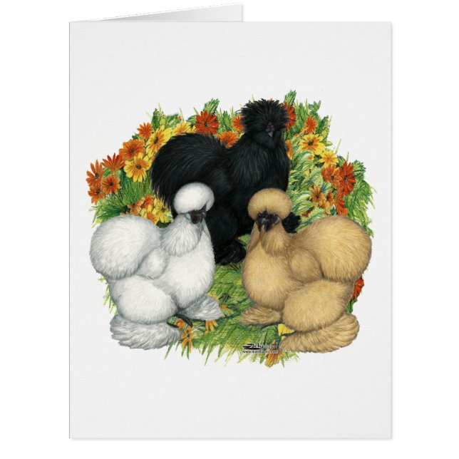 Silkies du jardin de fleurs (Devant)