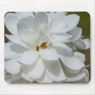 Silky Magnolia Mousepad