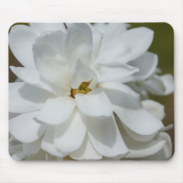 Silky Magnolia Mousepad (Vorne)