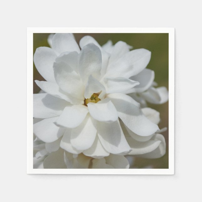 Silky Magnolia Serviette (Vorderseite)