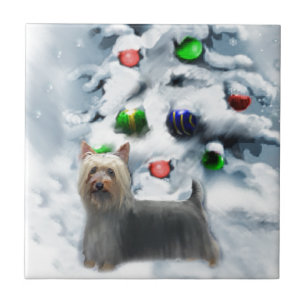 Silky Terrier Christmas Fliese