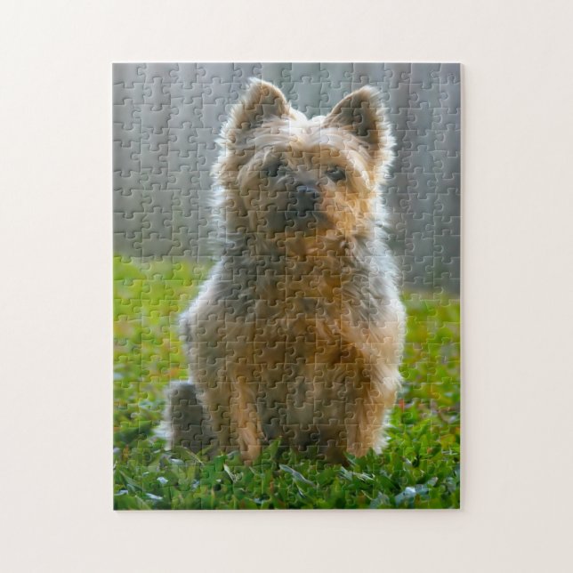 Silky Terrier Dog Jigsaws. (Vertikal)