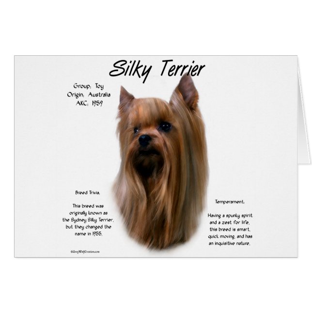 Silky Terrier History Design (Vorderseite (Horizontal))