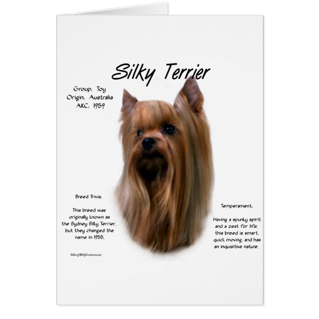 Silky Terrier History Design (Vorne)