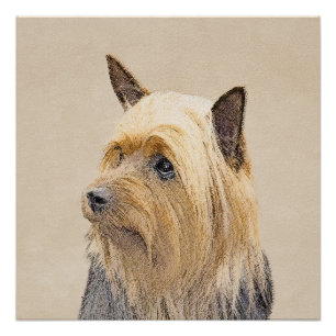 Silky Terrier Painting - Niedliche Original Dog Ar Poster