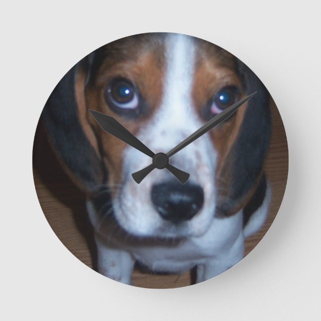 Silly Dog Randy beagle puppy Runde Wanduhr (Vorderseite)