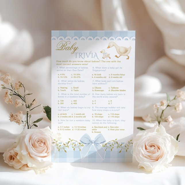 Silly Goose Baby Trivia Blue Coquette Baby Shower (Von Creator hochgeladen)